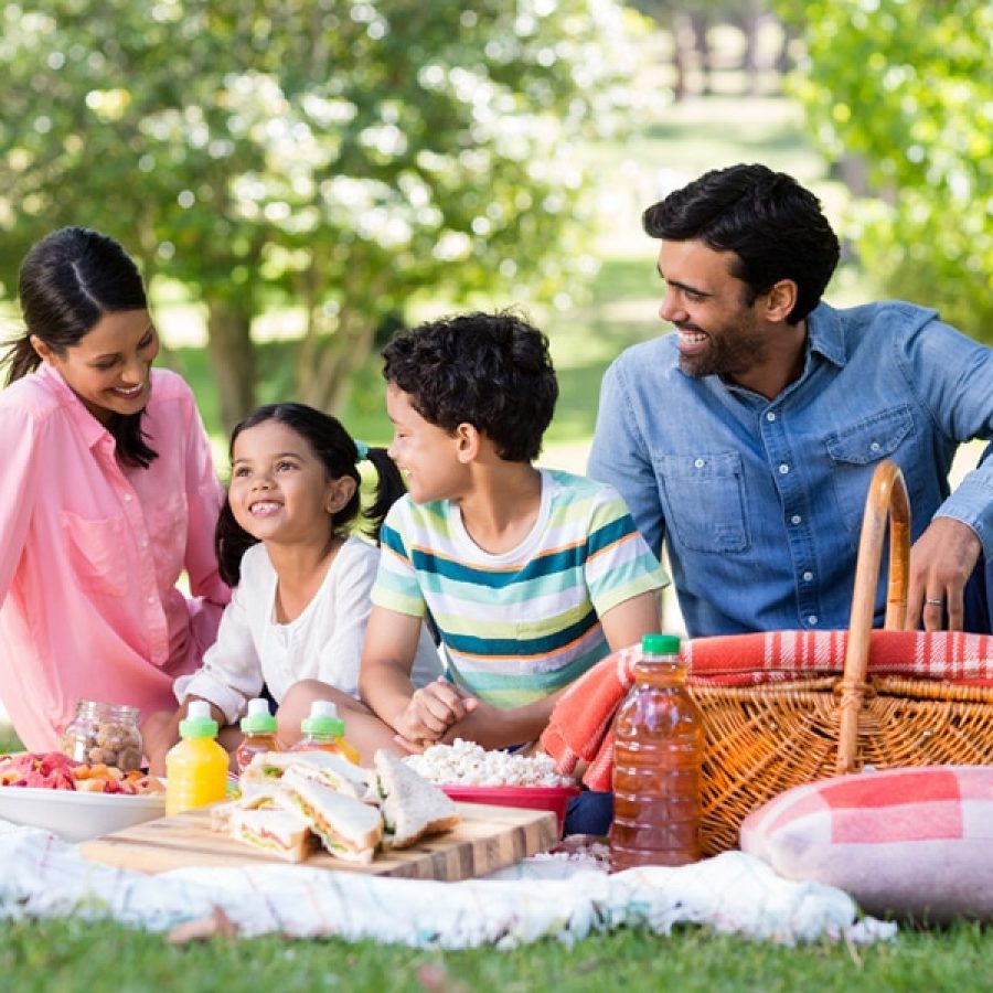 picnic ideas for family