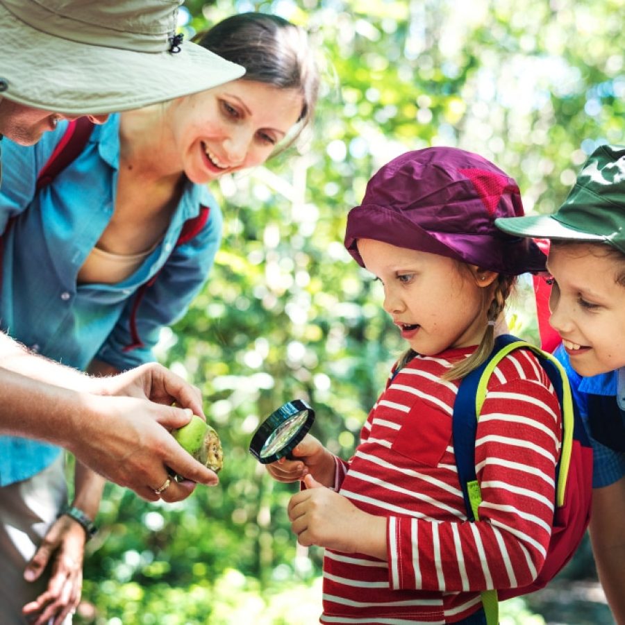 8 Summer Activities For Families Amazing Explorers Academy